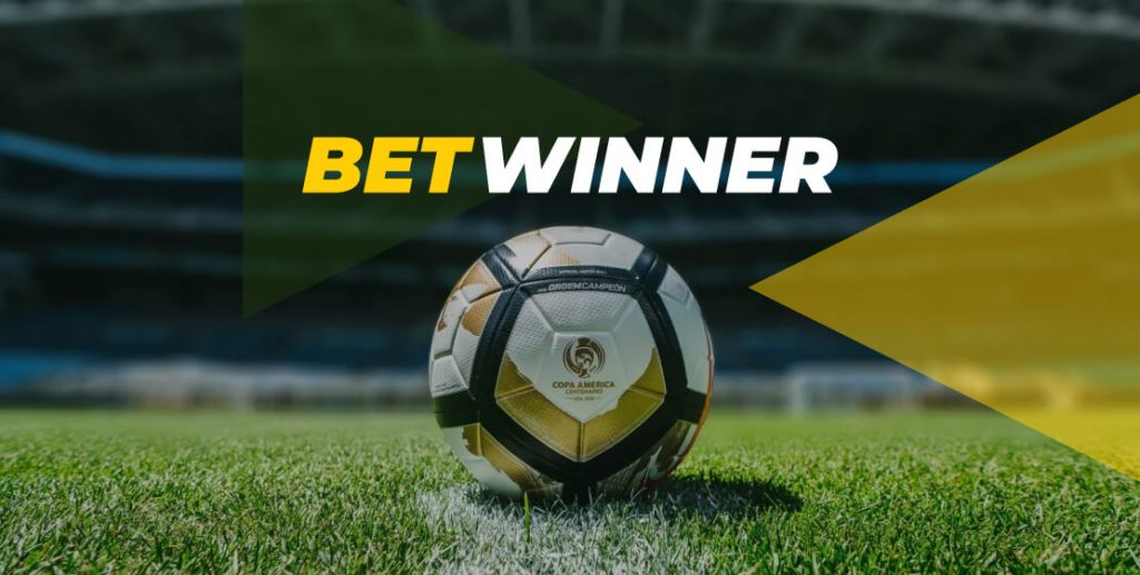 All About BetWinner in Cameroon
